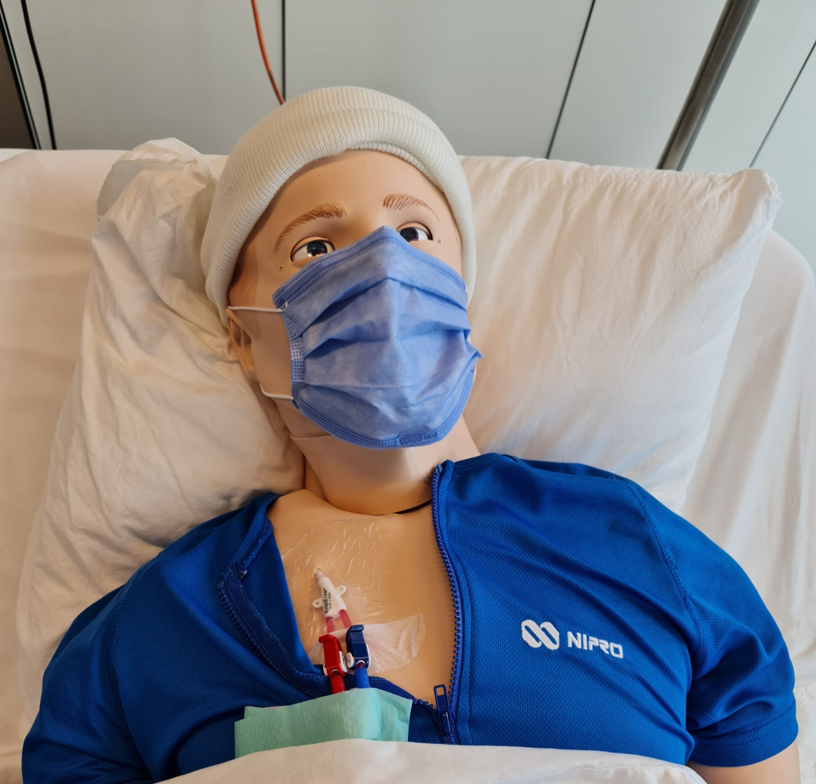 The plenary session “Expert Master Class Hemodialysis Catheters for Doctors.” Nipro